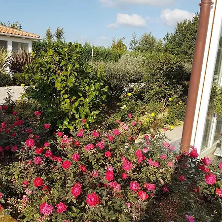 Residenza Delle Grazie Cossignano