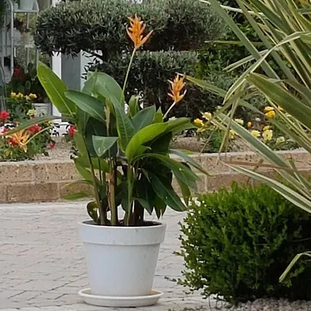 Residenza Delle Grazie