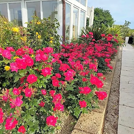 Bed & Breakfast Residenza Delle Grazie Cossignano