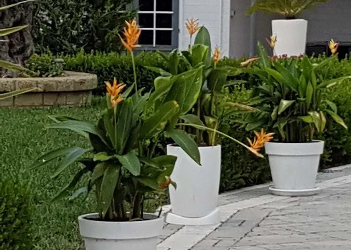 Bed & Breakfast Residenza Delle Grazie 4*