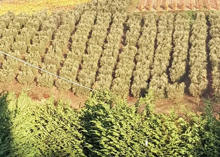 Residenza Delle Grazie 4*